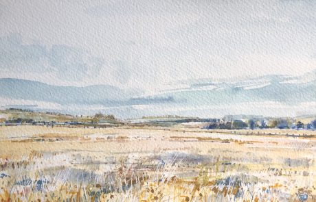 Summer Fields